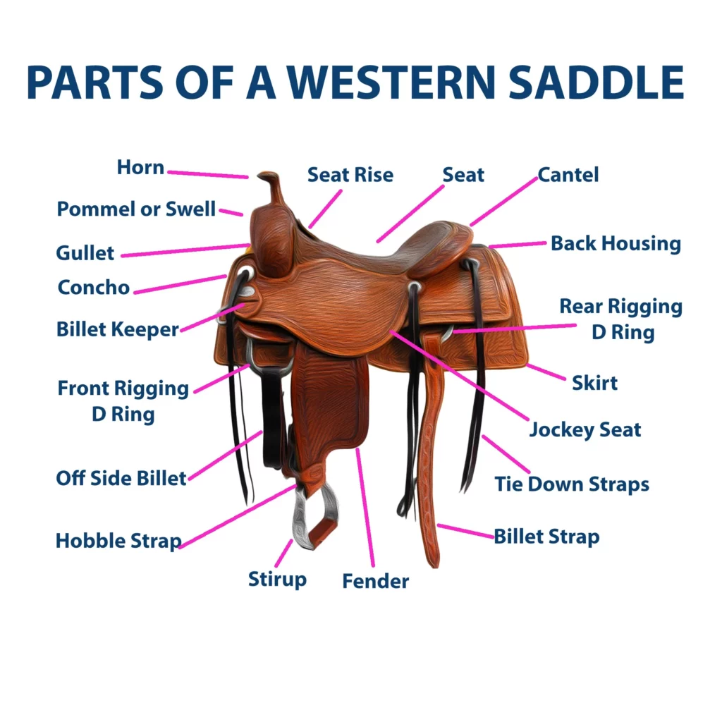 Parts of a Saddle